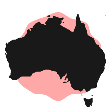 2025-AUS-Consumer-Insights-Report-Asset-Image